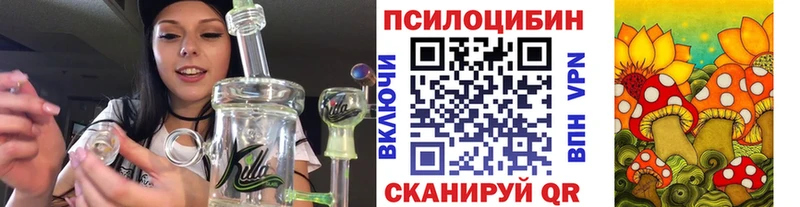 Галлюциногенные грибы мицелий Купить закладки Любань